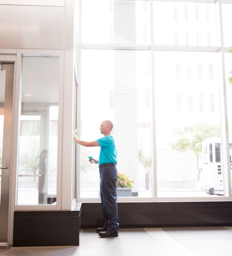 Window Cleaning