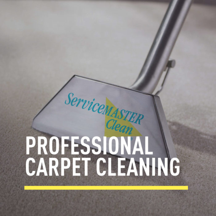Professional Carpet Cleaning